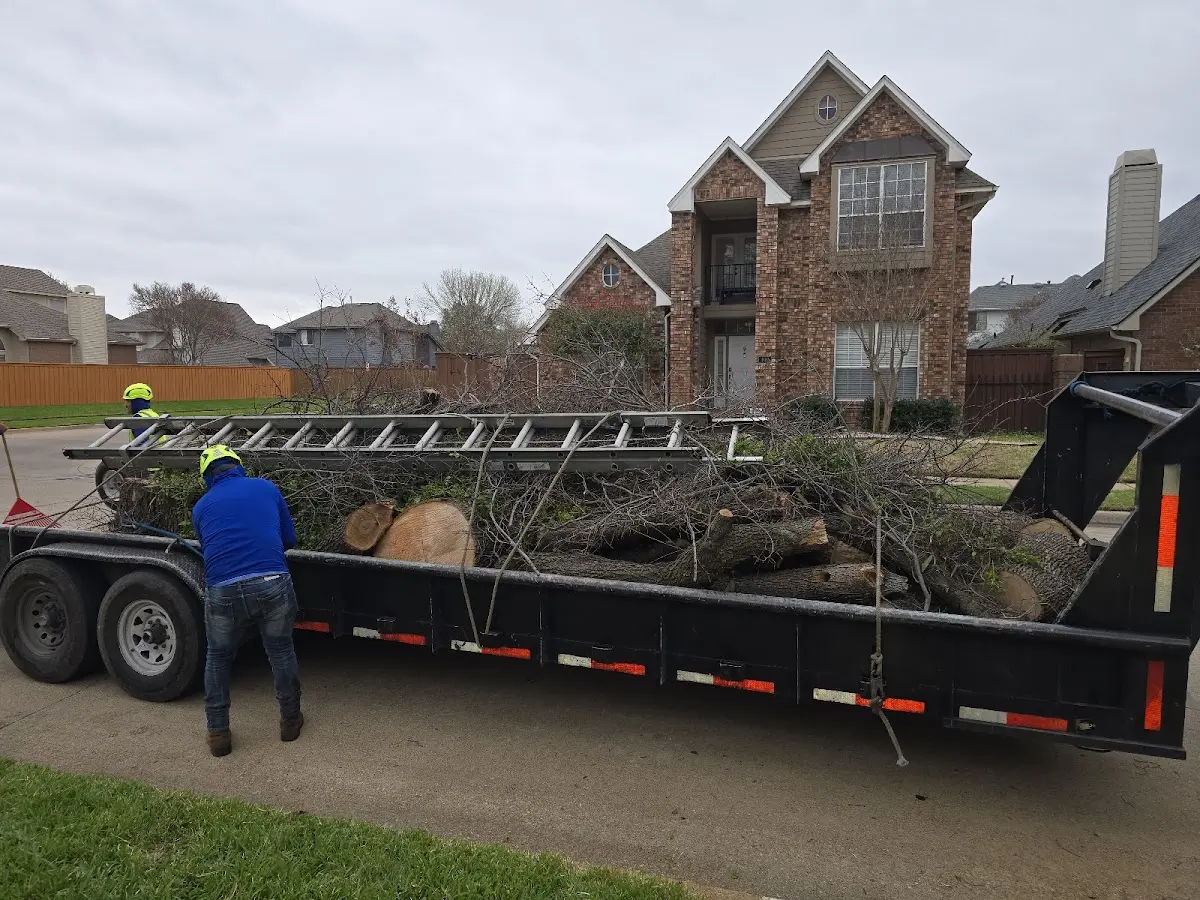 Expert Crown Reduction with proper safety equipment in Hillsboro